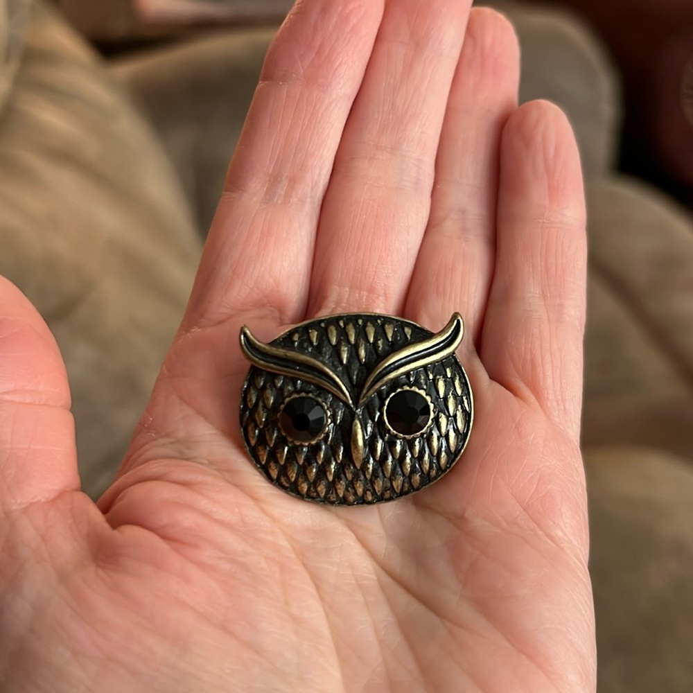 Owl Brooch Pin